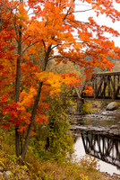 Wilton NH