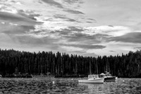 Mid Coast