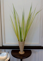 Palm Sunday 2016