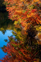 Fall foliage - Henniker NH