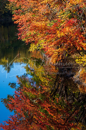 Fall foliage - Henniker NH