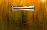 Rowing skiff in autmn color
