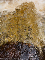 water_glass--2