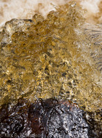 water_glass--4