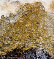 water_glass--3