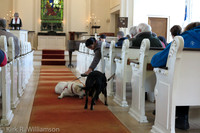 Blessing of the Pets