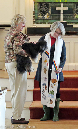 PetBless-3272