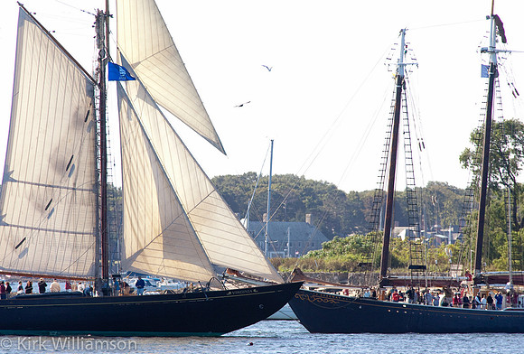 schoonerfest-16
