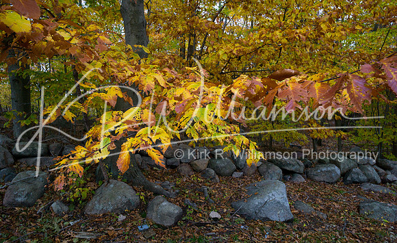 Autumn leaves and stone wall