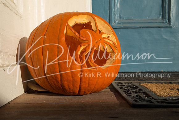 Fall Color-9