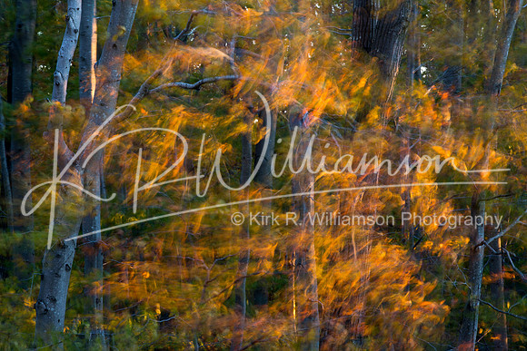 Fall Color -16