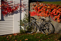 Fall Color-7