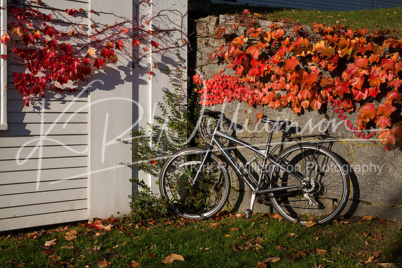 Fall Color-7