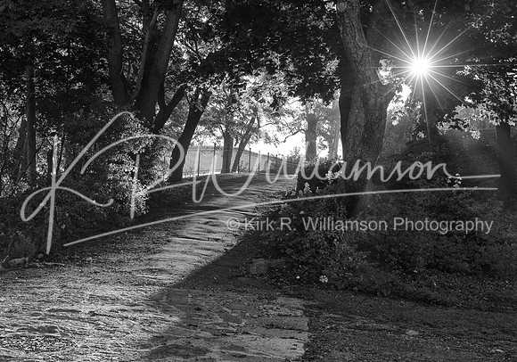 Early Morning Walk